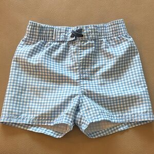 Blue Gingham Checkered Swim Trunks